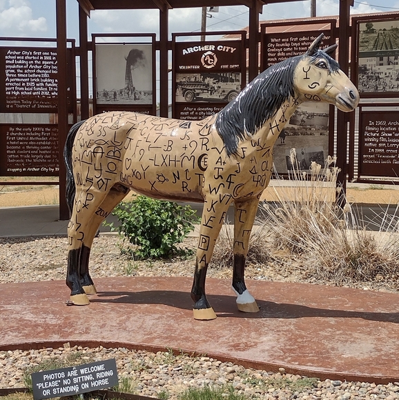 Meet your Posher, Mary Mother of Chickens - Picture 3 of 8